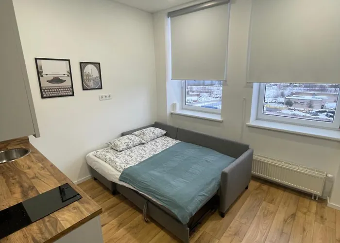 25 Airport וילנה